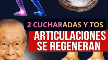 💧 ¡Restaura tu Filtro Interno! La Bebida de Apio Que Despierta Riñones e Hígado 🌿