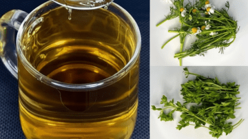 💧 ¡Restaura tu Filtro Interno! La Bebida de Apio Que Despierta Riñones e Hígado 🌿