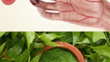 💧 ¡Restaura tu Filtro Interno! La Bebida de Apio Que Despierta Riñones e Hígado 🌿