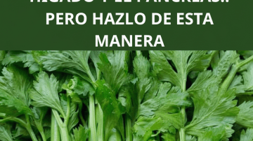 🌿 La “Hoja de la Vida”: El Remedio Ancestral que Transforma tu Salud en Días ✨