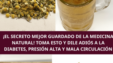 💧 ¡Restaura tu Filtro Interno! La Bebida de Apio Que Despierta Riñones e Hígado 🌿