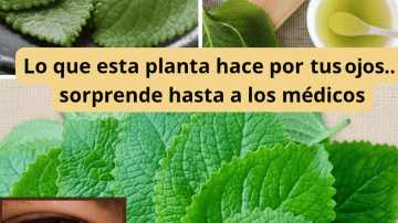 💧 ¡Restaura tu Filtro Interno! La Bebida de Apio Que Despierta Riñones e Hígado 🌿