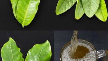 El Tónico de Jamaica: La Bebida Maestra para tu Corazón y Azúcar