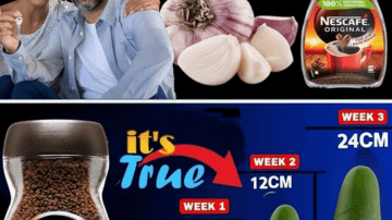 6 Powerful Herbs in Your Kitchen That Support Healthy Blood Flow