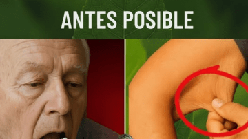 Dandelion Tea: Nature’s Secret to a Healthy Liver and Gut