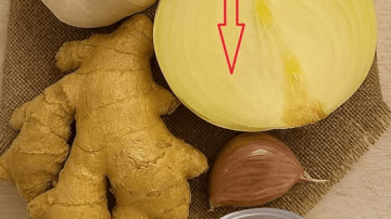 A Simple Guide to Exploring Eggshell Powder as a Natural Option for Brighter Teeth and Oral Care