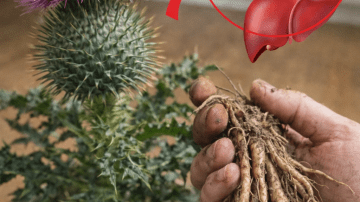 Discover 5 Common Medications to Review with Your Doctor If You’re Over 60 for Better Heart Health