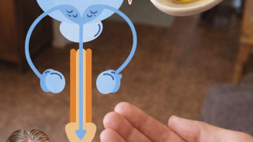 Could One Simple Leaf from Nature Support Your Daily Wellness Routine?