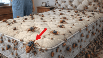 💜🥕 Unlock Peak Vitality: The 3-Ingredient Juice for Total Body Renewal 🍎