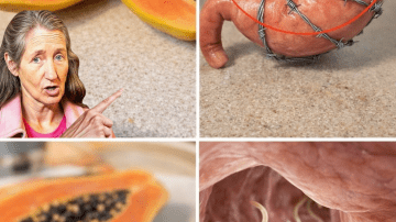 How Can Three Everyday Seeds Support Healthy Vision as You Age?