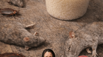 4 Bedtime Fruits That May Support Kidney Health and Help Manage High Creatinine Levels After 60