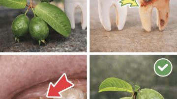 4 Bedtime Fruits That May Support Kidney Health and Help Manage High Creatinine Levels After 60