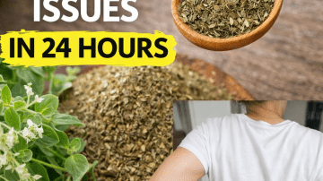 Discover a Step-by-Step Guide to Preparing Mango Leaf Tea for Supporting Natural Blood Sugar Balance Daily