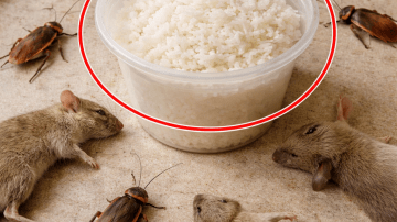 🍌 The Youthful Alchemy: How Banana Peel and Cornstarch Unlock a Radiant, 15-Year-Old Glow