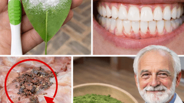 Exploring the 12 Overlooked Symptoms of Ovarian Cancer Every Woman Over 40 Needs to Know