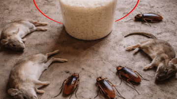 3 Simple Bedtime Habits with Vitamins That May Support Leg Strength After 60