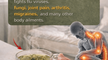 🤫 The $2 Secret Nobody Will Ever Tell You: Why Mixing Cloves and Vaseline is Your Ultimate Wellness Hack