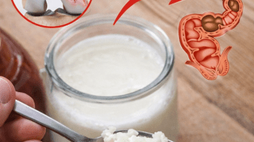 ⚠️ The Forbidden Cure: Why the Graviola Leaf Secretly Terrifies Pharmaceutical Giants