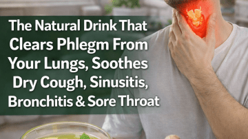 Discover the Everyday Wellness Potential of Moringa Leaves: A Simple Guide to This Nutrient-Rich Plant