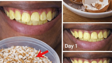 How to Support Healthy Blood Circulation in Legs and Feet for Adults Over 50