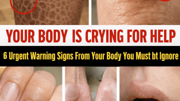 Discover the Top 3 Vitamins That May Help Support Better Circulation and Vitality for People with Diabetes