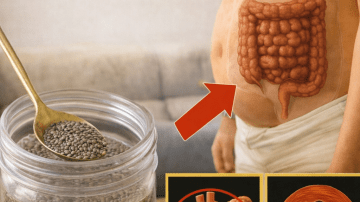 🌸 The Low-Maintenance Miracle: 18 Compelling Reasons Why Every Home Needs a Kalanchoe Plant