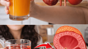 How Adding Two Spoonfuls of Gelatin to Your Daily Routine May Support Joint Comfort and Mobility