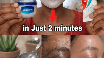 Natural Ways to Help Deter Rats and Cockroaches from Your Home Using Common Kitchen Ingredients