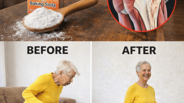 👑 The Unassuming Giant: Why Broadleaf Plantain (Plantago Major) Is the Most Powerful, Overlooked Medicinal Plant