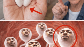 Papaya Seeds: The Surprising Superfood You’ve Been Throwing Away for Years