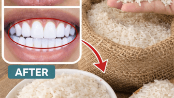 How Can Three Everyday Seeds Support Healthy Vision as You Age?