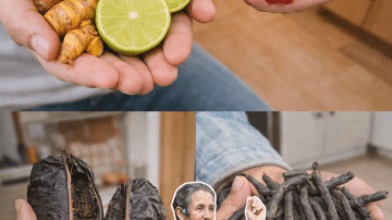 A Simple Morning Drink to Support Digestive Comfort and Regularity: What You Need to Know