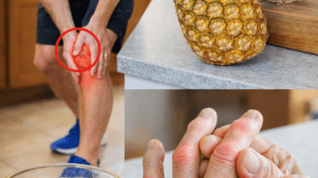 ⚠️ The Forbidden Cure: Why the Graviola Leaf Secretly Terrifies Pharmaceutical Giants