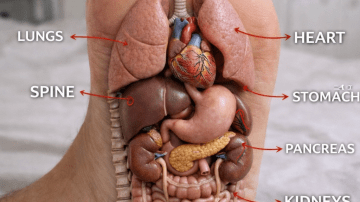 Understanding Atorvastatin Side Effects: What You Need to Know for Informed Use