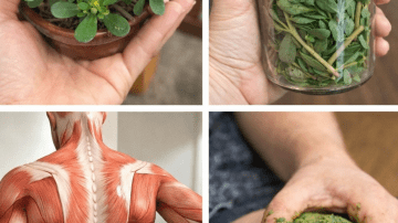 Are You Throwing Away the Most Powerful Part of Papaya Without Realizing It?