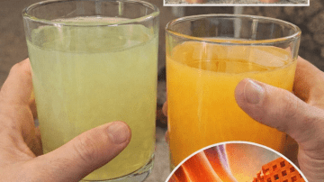 4 Bedtime Fruits That May Support Kidney Health and Help Manage High Creatinine Levels After 60