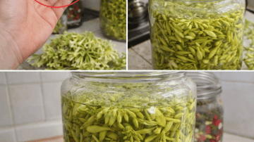 How to Care for Aging Skin Naturally and Maintain a Healthy Glow at Any Age