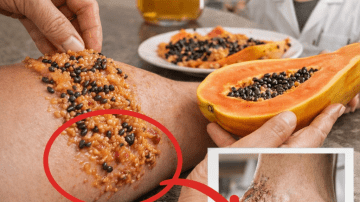 Simple Household Tips: How to Naturally Deter Rats and Cockroaches Using Common Ingredients at Home