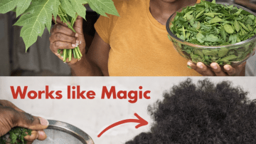 Natural Ways to Support Joint Comfort and Flexibility After Age 60