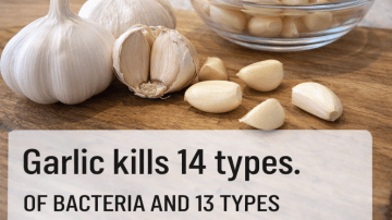 5 Nutrient-Packed Fresh Juice Recipes to Support Your Daily Wellness Routine