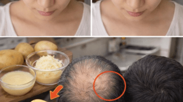 🌿 The Resilient Healer: Unlock the 7 Powerful Secrets of Kyllinga Brevifolia—Nature’s Anti-Inflammatory Grass