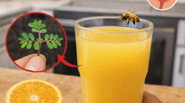 4 Gentle Bedtime Drinks That May Support Kidney Health and Balanced Creatinine Levels Naturally