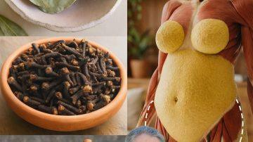 🌸 The Low-Maintenance Miracle: 18 Compelling Reasons Why Every Home Needs a Kalanchoe Plant