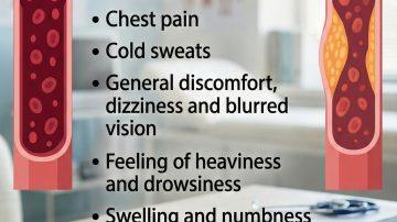 Can These 3 Everyday Seeds Support Your Eye Health as You Age? A Practical Guide