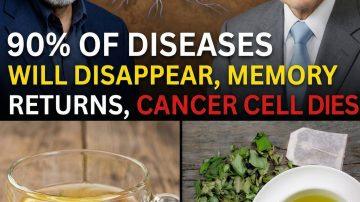 🍃🌞 Unveil Nature’s Elixir: The Four-Leaf Infusion for a Vibrant, Balanced Life