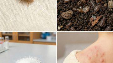 🌟🧹 The Internal Sweep: Unlocking the Ancient 3-Ingredient Elixir That Detoxes Your Blood, Balances Sugar, and Revives Your Energy!