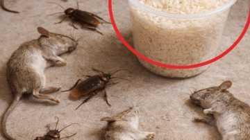 How to Care for Aging Skin Naturally and Maintain a Healthy Glow at Any Age